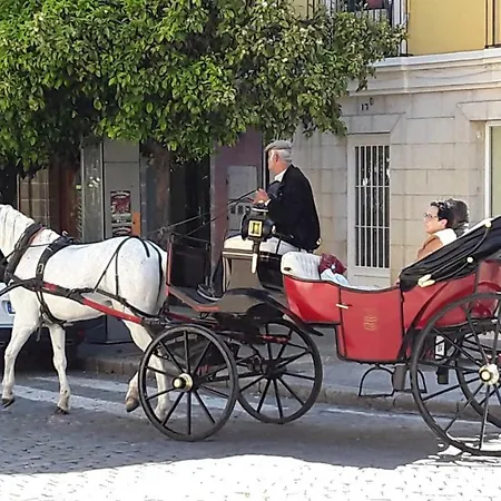Apartment Sherryflat Alcazar Jerez de la Frontera